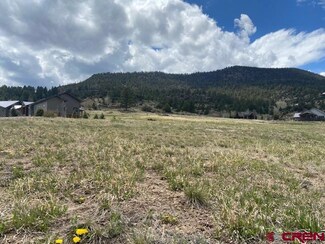 61 N Alder Creek Ln, South Fork, CO 81154