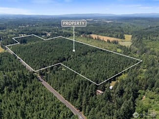 0 Kiser Rd Unit 24108231, Ethel, WA 98542