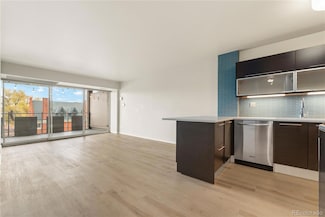 800 N Washington St Unit 508, Denver, CO 80203