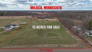 TBD Ivy Rd, Borgholm Township, MN 56353