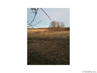 10432 Wolfanger Rd, Wayland, NY 14572