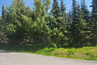 Lot 6 de Palatis Cir, Anchorage, AK 99516