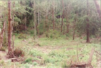18506 19th St Kpn, Lakebay, WA 98349