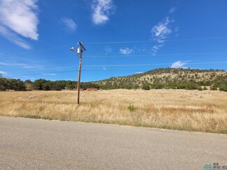 25 Bartlett Mesa Rd, Raton, NM 87740