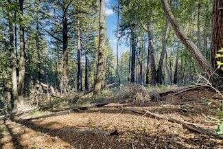 0 Western Ave Unit ML81986063, Brookdale, CA 95007