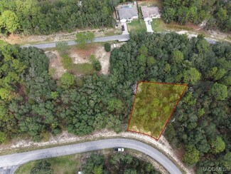 645 W Bancroft Dr, Pine Ridge, FL 34434