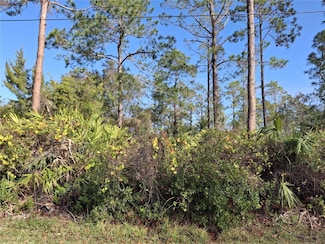 103 Wheatfield Dr, Palm Coast, FL 32164