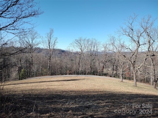 0 Vineyard Hill Dr, Fletcher, NC 28732