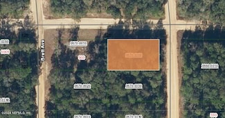 00000 Neilsen Ave, Interlachen, FL 32148