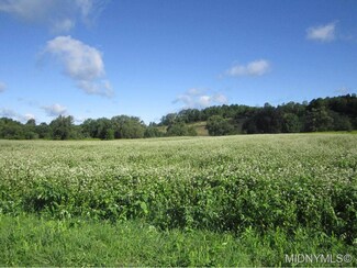 0 Gorton Lake Rd Unit 1603574, Sangerfield, NY 13455