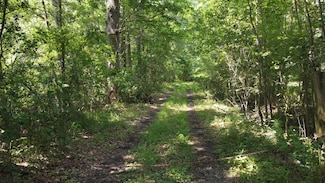 0 Rudd Rd, Ridgeville, SC 29472
