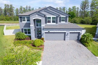 1869 Leaf Flower Ln, Lutz, FL 33558