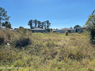 334 Silver Frost St SE, Palm Bay, FL 32909