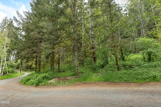 T/L 1000 N New Bridge Rd, Otis, OR 97368