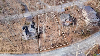 421 Blackrock Dr, Wintergreen Resort, VA 22967