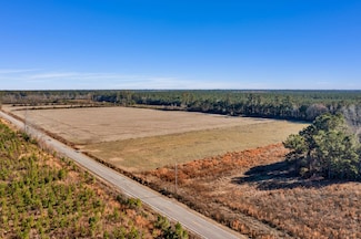 0 Williams Hill Rd, Hemingway, SC 29554