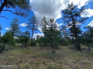 2141 W Whispering Springs Unit Lot 71, Show Low, AZ 85901