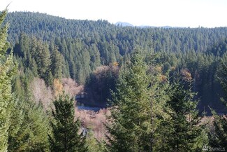 0 Loowit Ln Unit 872883, Cougar, WA 98616