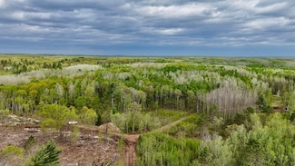 0 Larsen Rd Unit 1591242, Hayward, WI 54843