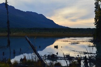 27680 Jim's Rd, Knik River, AK 99645
