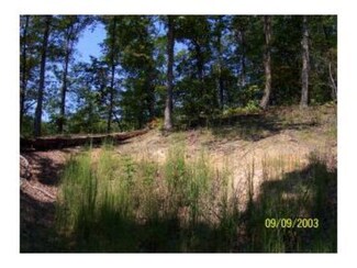 0 Woodlands Dr, Louisa, KY 41230