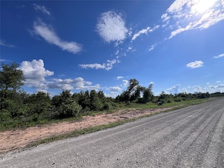 TBD LOT 29 Live Oak Trail, Eula, TX 79510