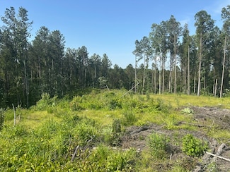 0 Linton Rd, Meridian, MS 39301