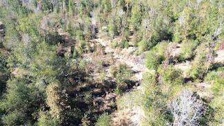 TBD Farm To Market 1280 E, Lovelady, TX 75851