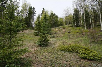 0 Vacant Land Unit 9598992, Cripple Creek, CO 80813