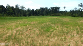 6414 Pea Ridge Rd, Grenada, MS 38901