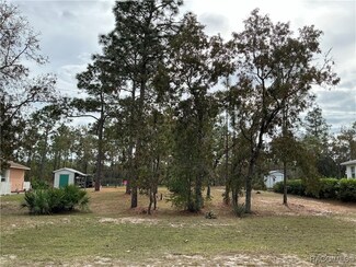 2646 W Sheila Dr, Dunnellon, FL 34433