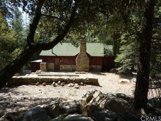 22 Stetson Creek Trail, Angelus Oaks, CA 92305
