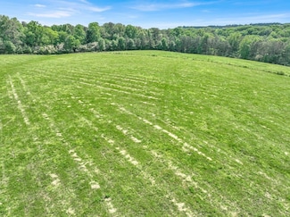 Parcel 5 County Road 469, Cullman, AL 35057