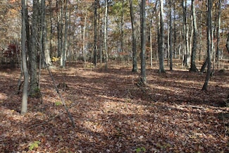 Lot 13 Sand Bank Heights Rd, Masontown, WV 26542