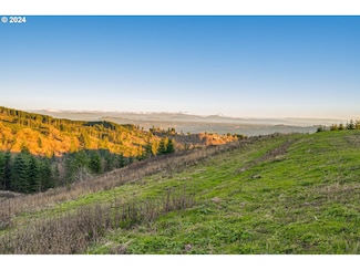 0 Cascadia Ln Unit 2 24657065, Kalama, WA 98625