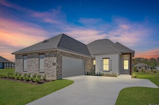 21489 Bluefin Dr, Springfield, LA 70462