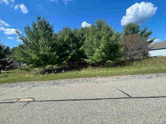 194 Lexington Ave, Butman Township, MI 48624