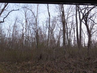 0 Possum Hollow Unit 60108045, Stella, MO 64867