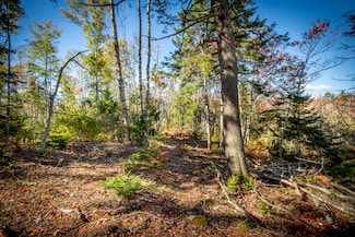 Lot 5 Jack's Ln, Bristol, ME 04554