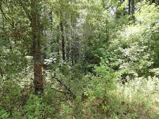 TBD Blackberry Tr, Monticello, FL 32344