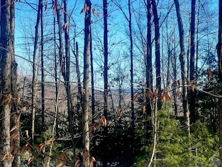 0 Tower Mountain Rd Unit 153892, Jewett, NY 12444