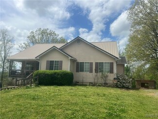 18681 Hill Dr, Brookwood, AL 35444