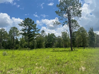 TBD NE 78th Ln, Bronson, FL 32621