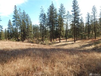 1 Sunrise Ln E, Davenport, WA 99122