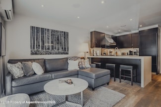 124 E Durant Ave Unit 6, Aspen, CO 81611