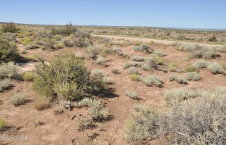 4283 White Antelope Rd, Snowflake, AZ 85937