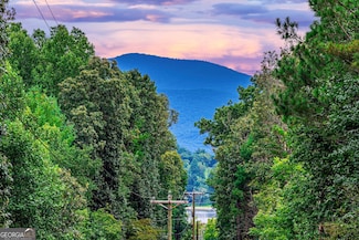 7.07A Eastridge Ct, Blairsville, GA 30512