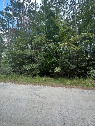 0 Floyd St Unit 1245075, Fleming Island, FL 32003