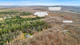 TBD W Stutsmanville Rd, Harbor Springs, MI 49740