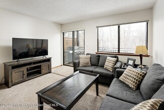 23284 Two Rivers Rd Unit 3A, Basalt, CO 81621